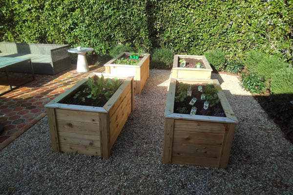 5 Stunning Small Space Garden Ideas from Top Professional Landscapers