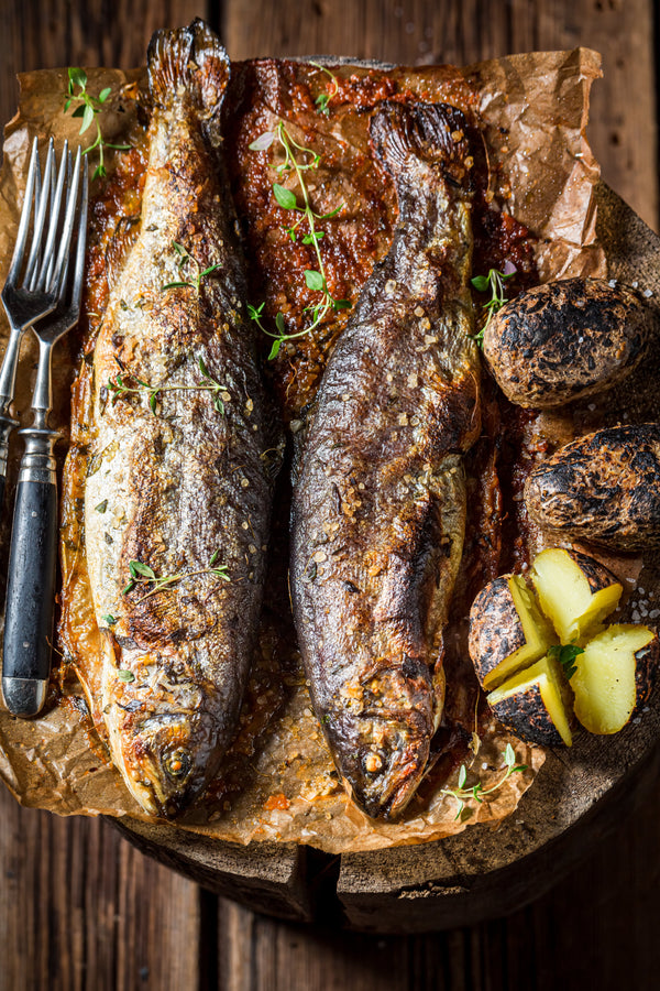 Classic Eats vs. Adventurous Proteins: Freshwater Fish Grilling Guide & Recipes