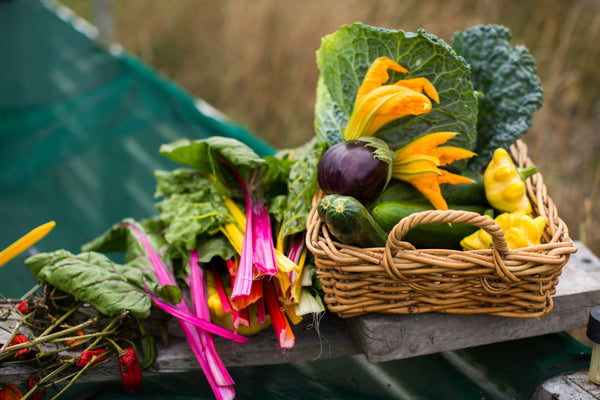 Sustainable Practices for Grilling: Eco-Friendly BBQ Tips for Every Cookout
