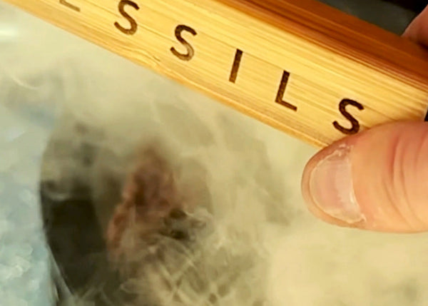 BBQers and Smokers: Using a Smoker Box on Your Grill for Intense Flavor