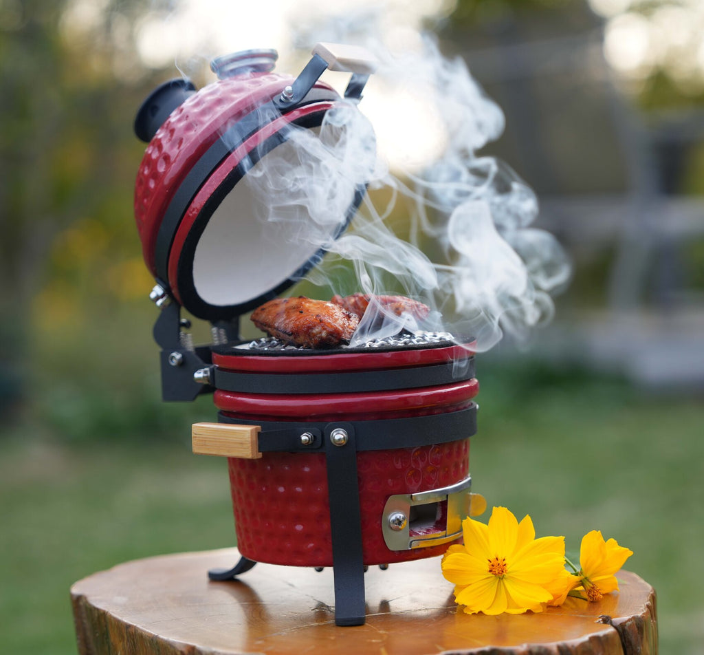 Kamado grill mini hotsell